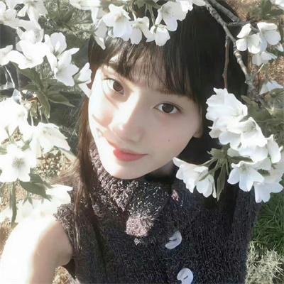 光环第一季